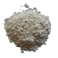 China dehydrated garlic powder export toasted garlic slice price